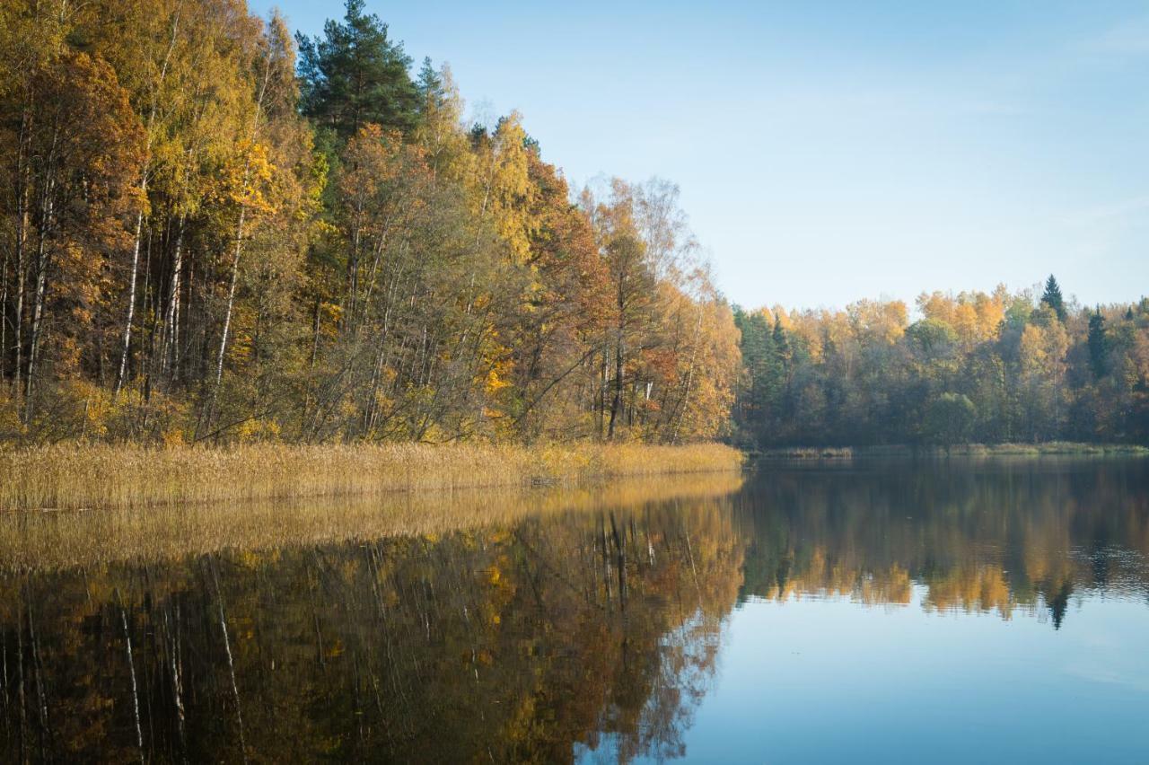 Вілла "Ciekuri" Аглона Екстер'єр фото